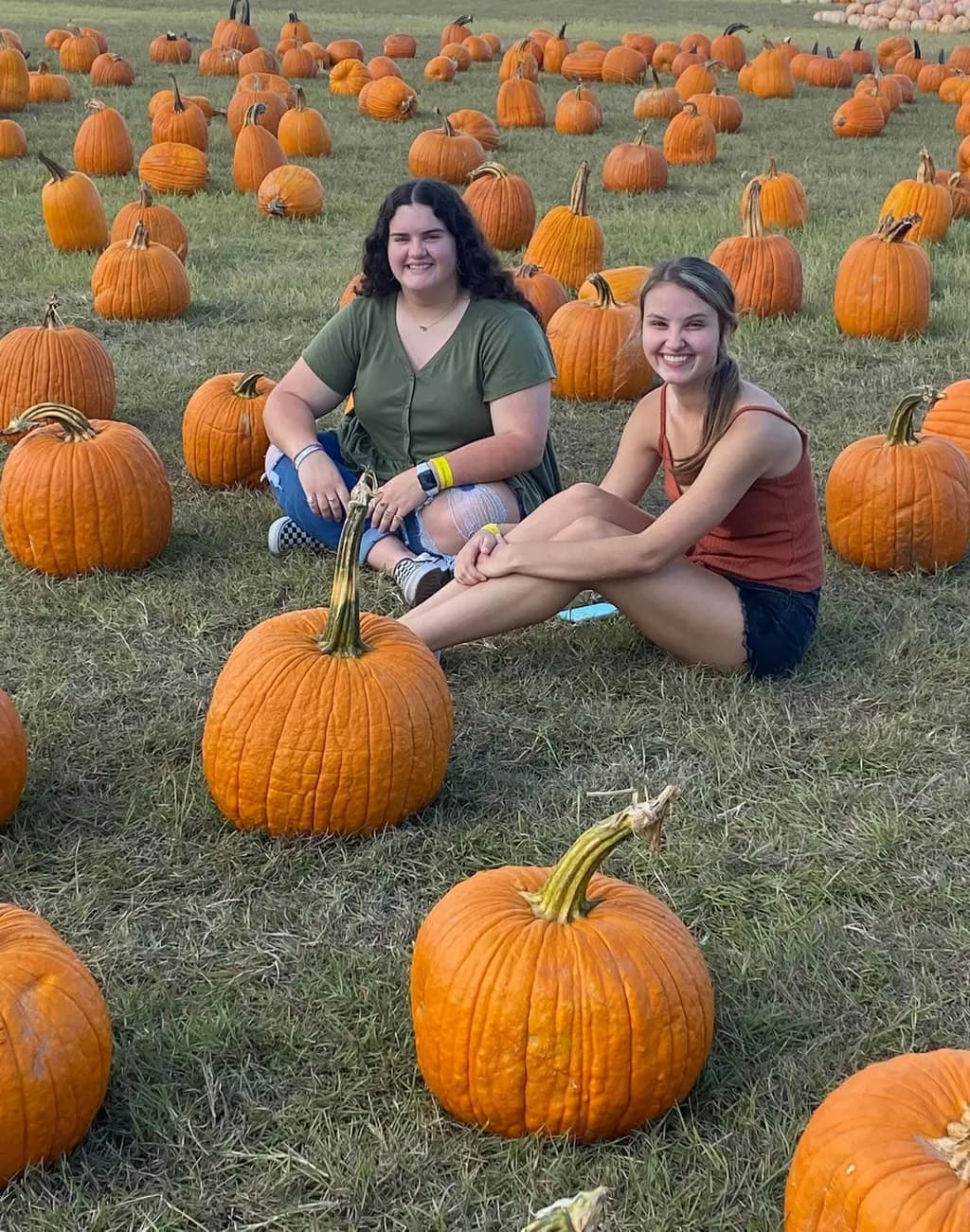 Autumn Pumpkin Field