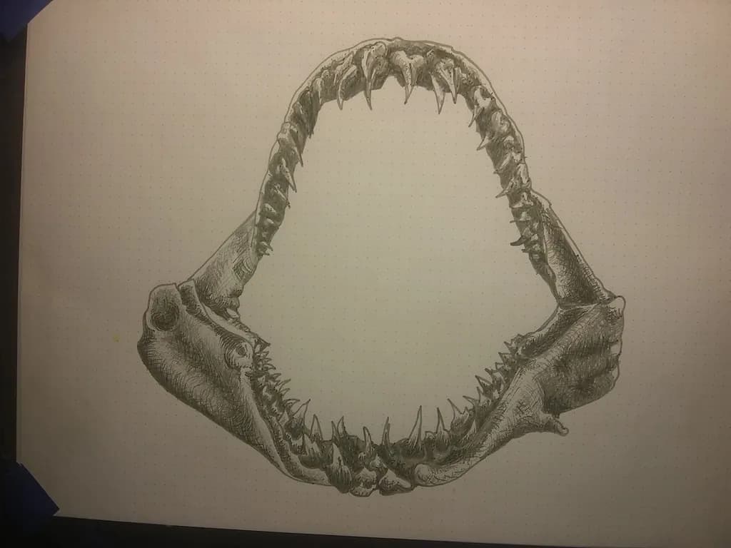 Jawbone Arc