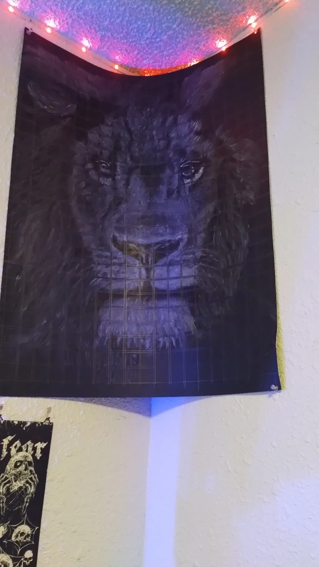 Midnight Mane