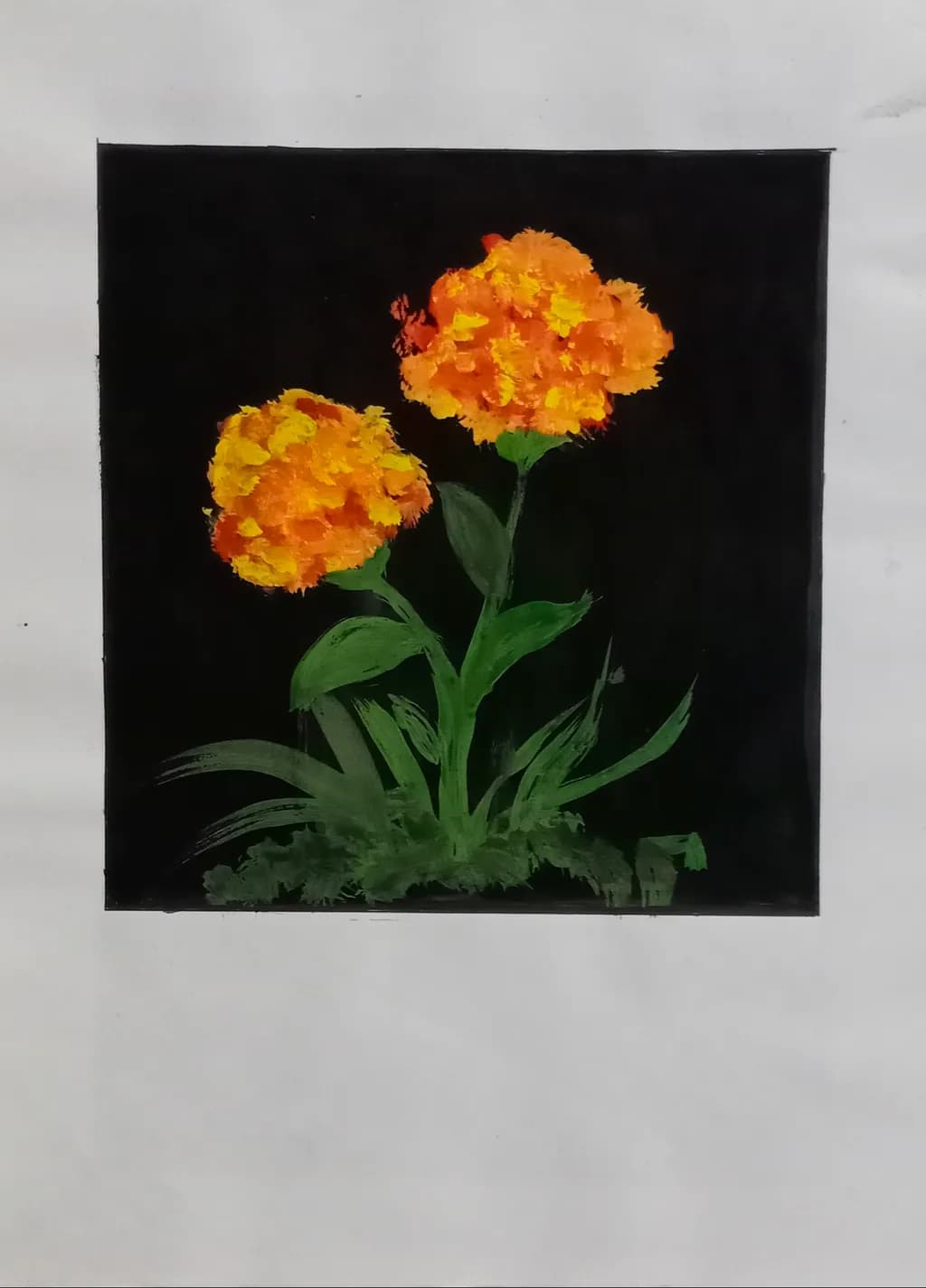 Orange Blooms
