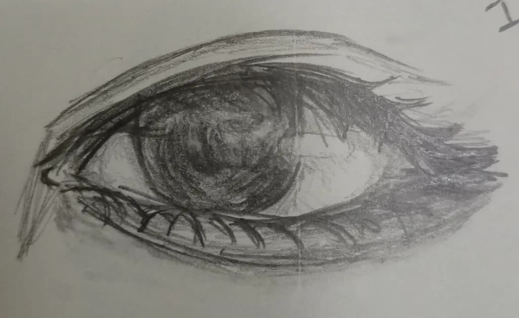 Gaze