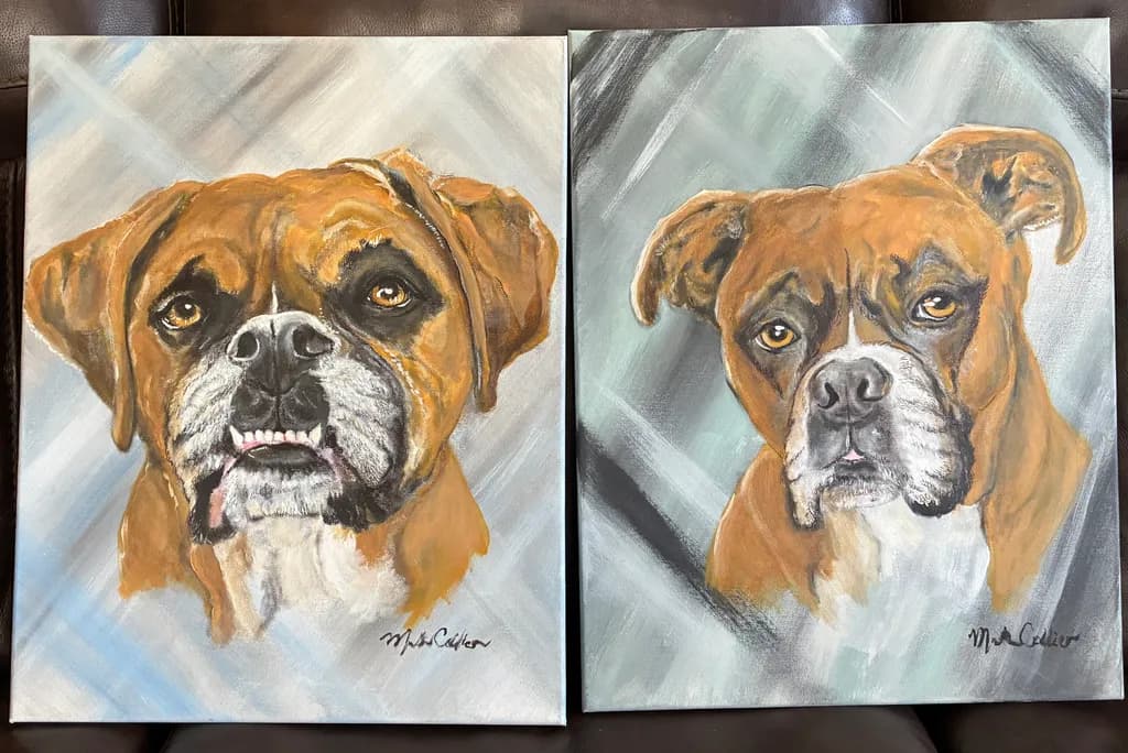 Boxer Gaze Duo