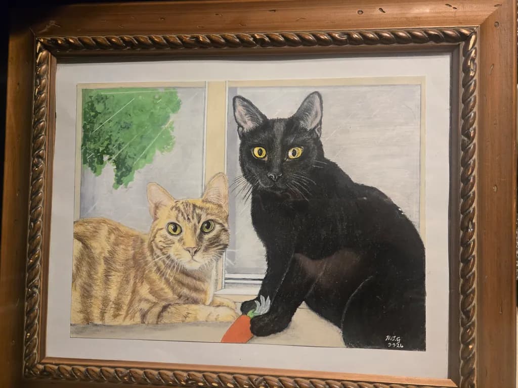 Window Watchers