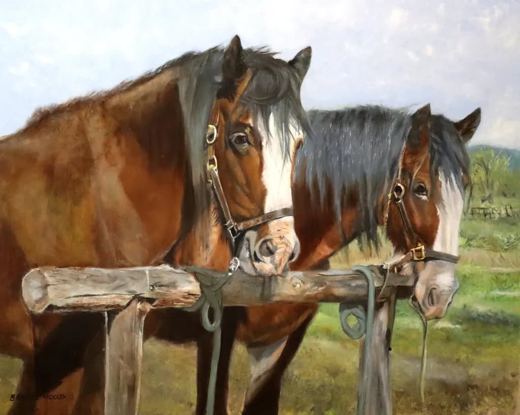 Clydesdale Companions