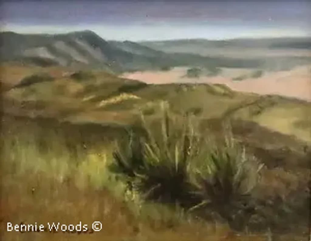 Badlands Overlook