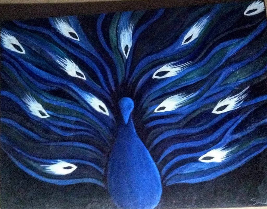 Midnight Plumage