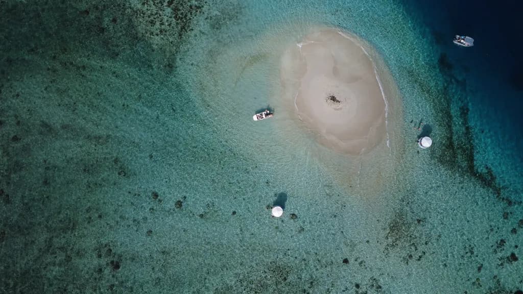 Aerial Coral Haven