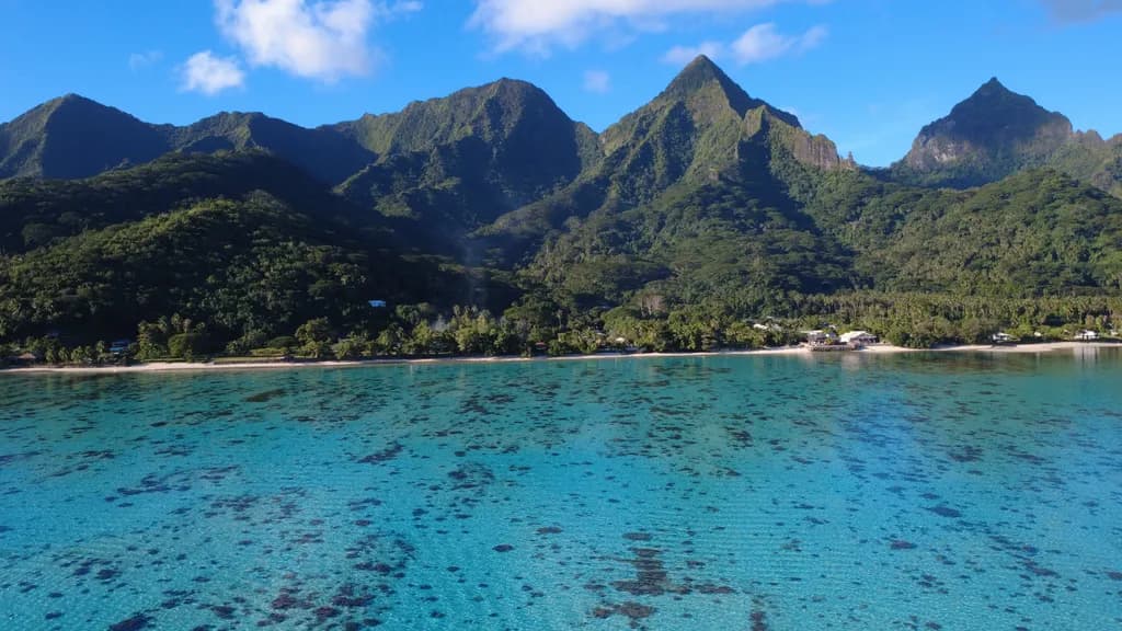 Tropical Mountain Bay