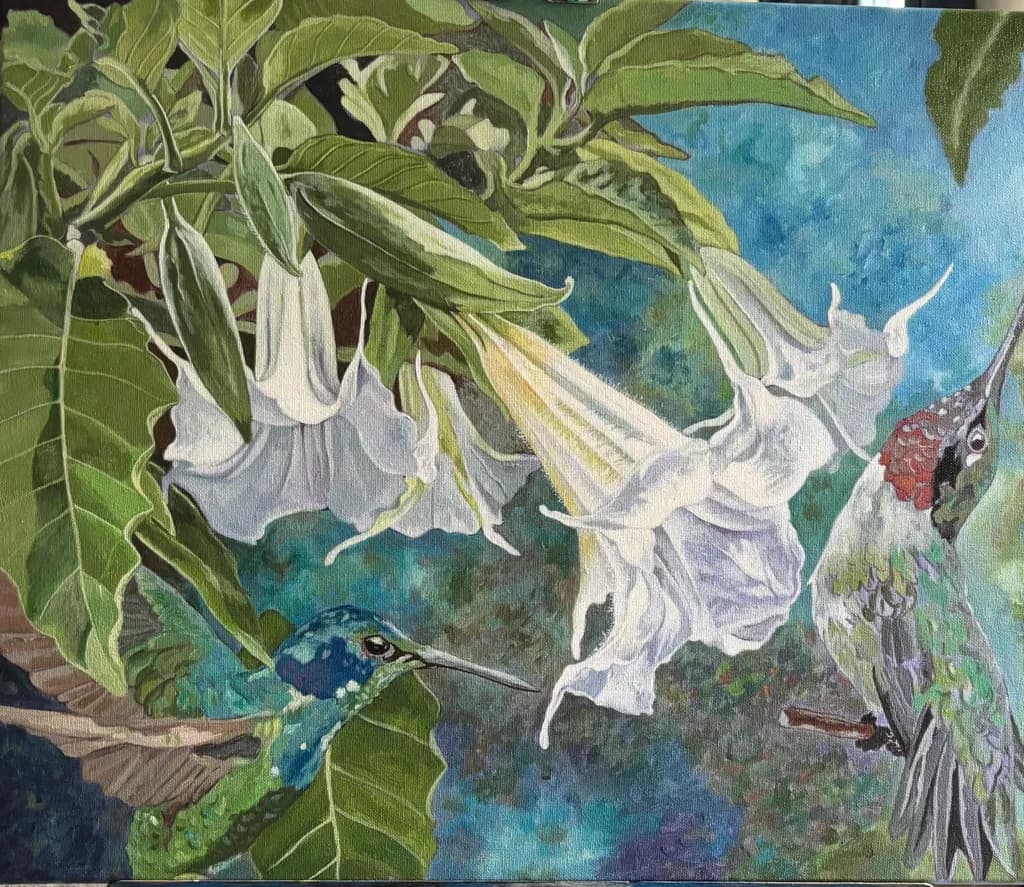 Brugmansia Encounter