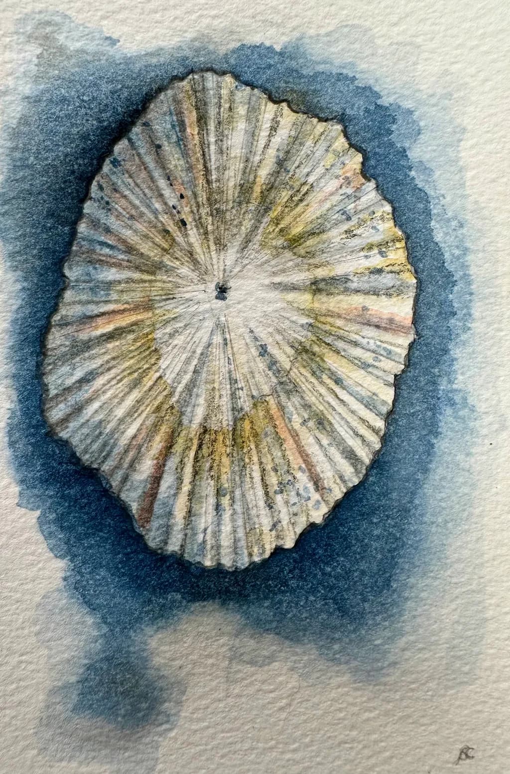 Radial Shell