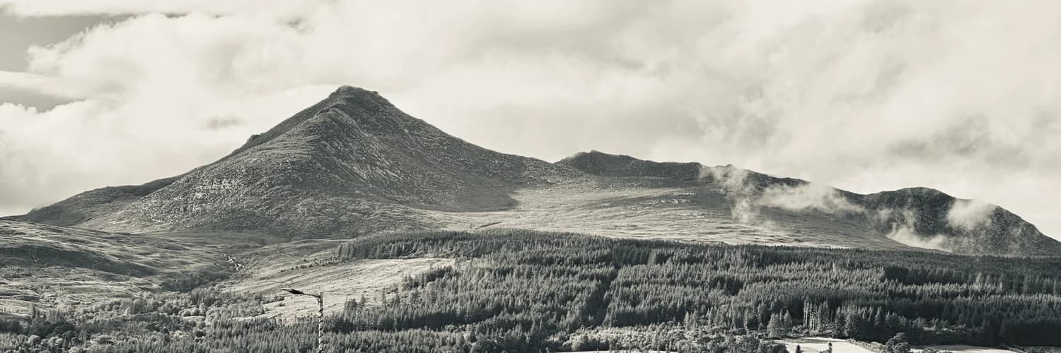 Profilbanner