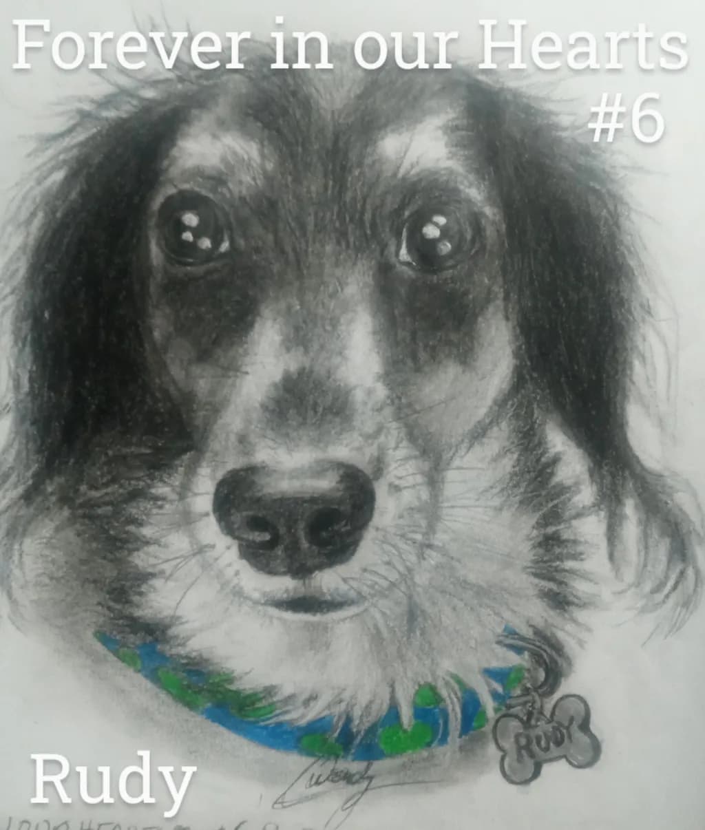 Rudy Portrait