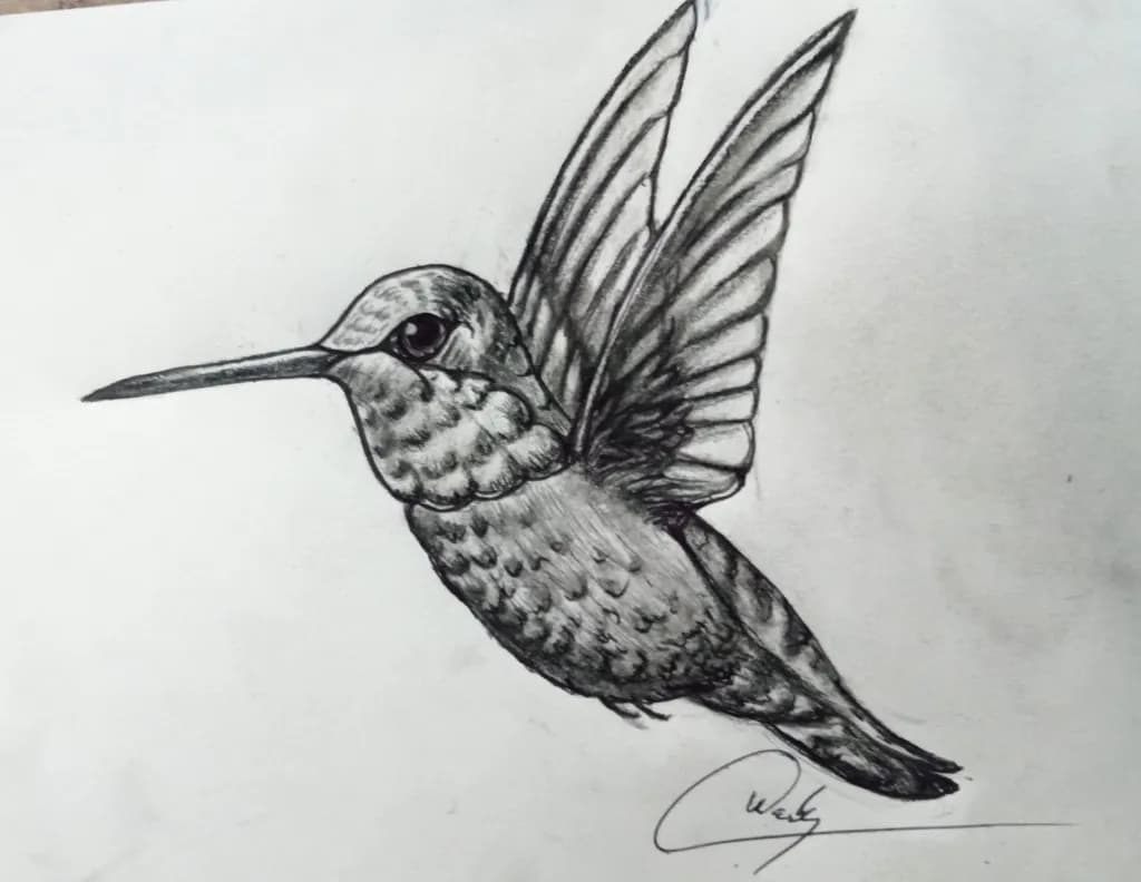 Hummingbird Flight