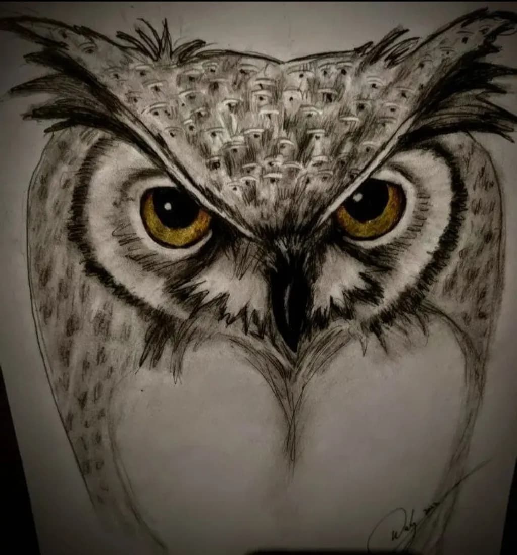 Gaze of the Owl