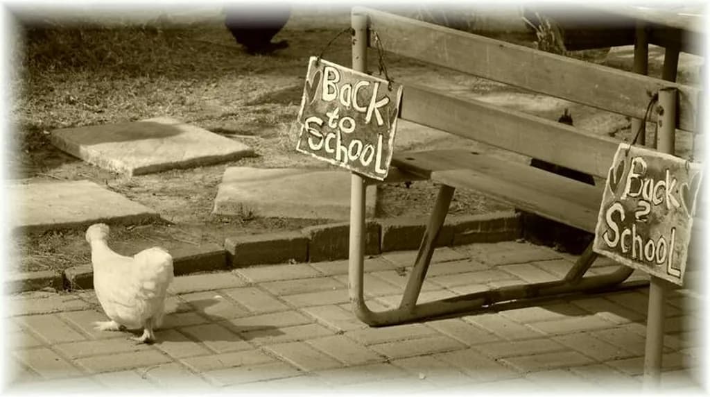 Back to School Stroll
