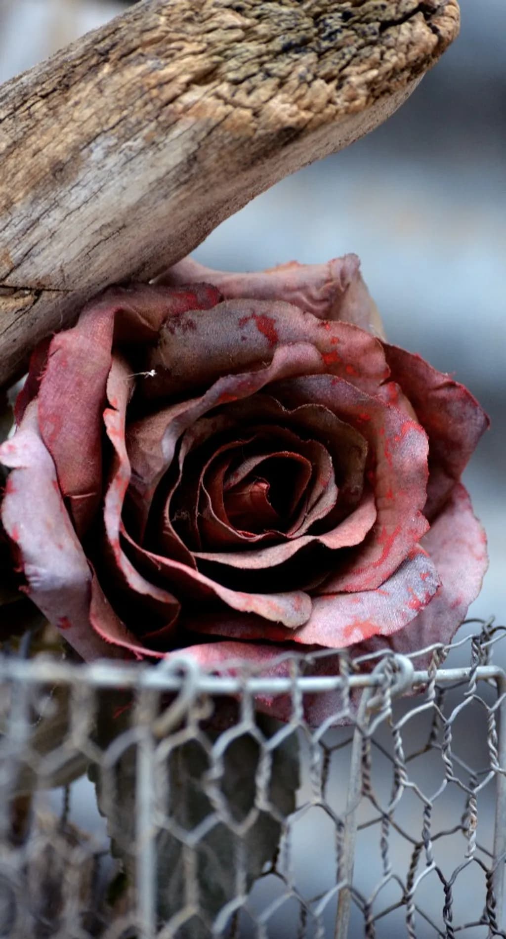Rust and Roses