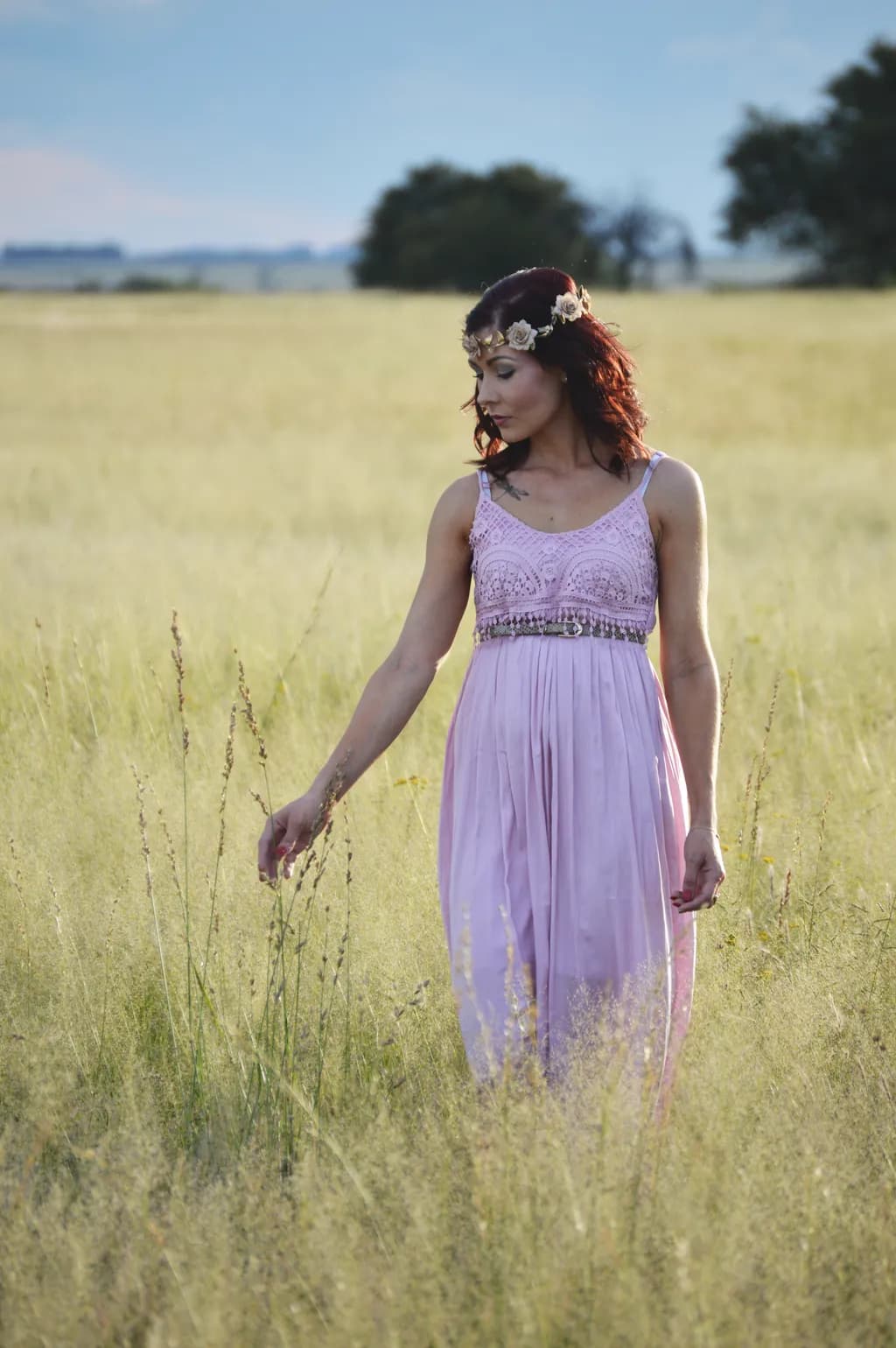 Lavender Stroll