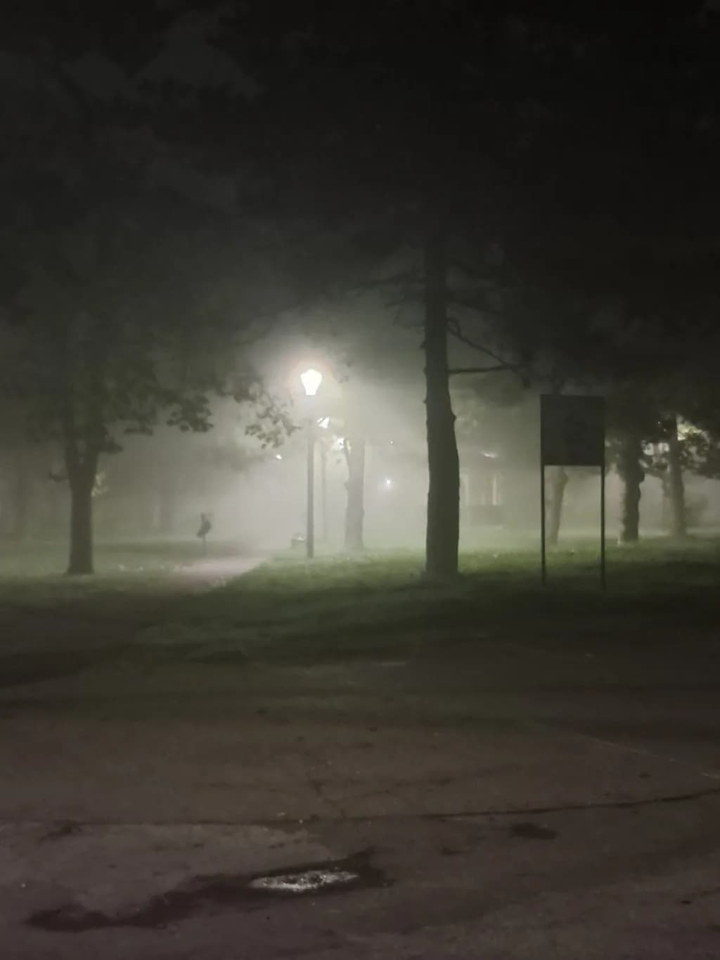 Foggy Streetlamp Glow