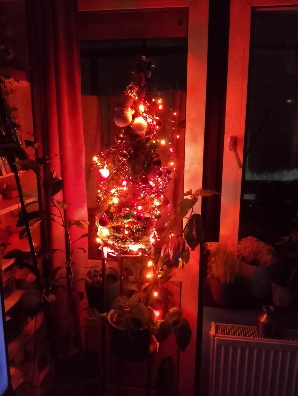 Christmas Tree Glow