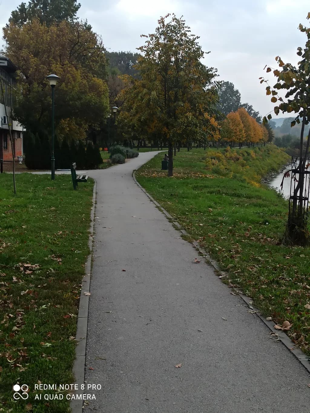 Autumn Park Path