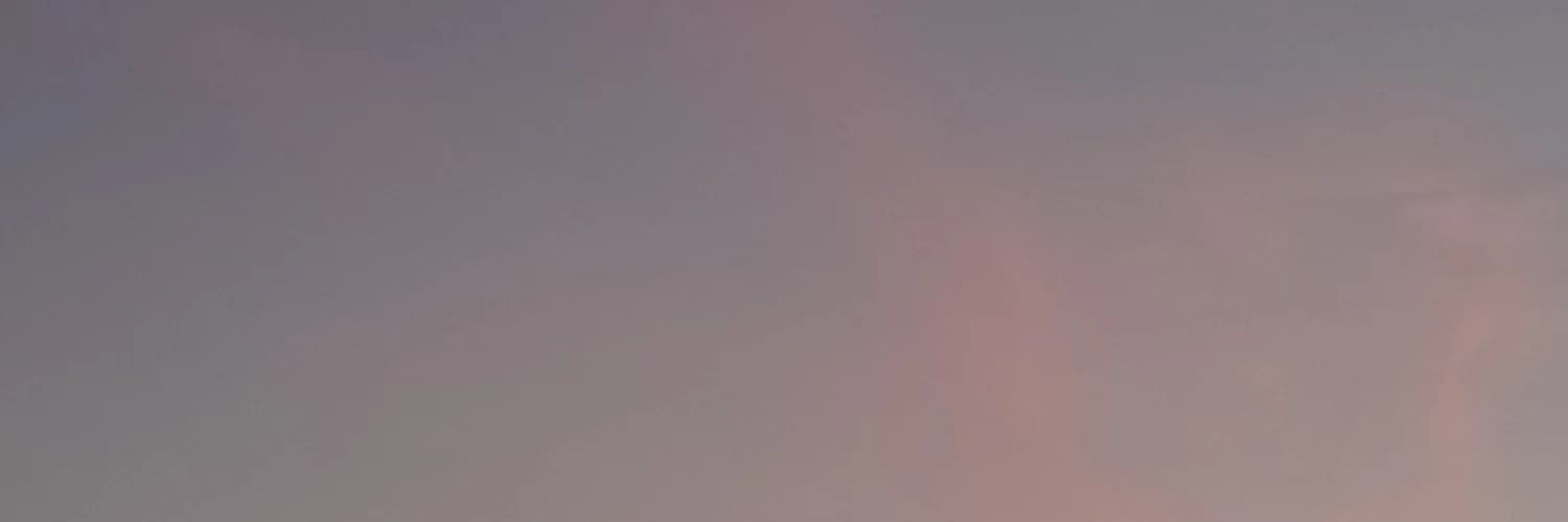 Profile banner