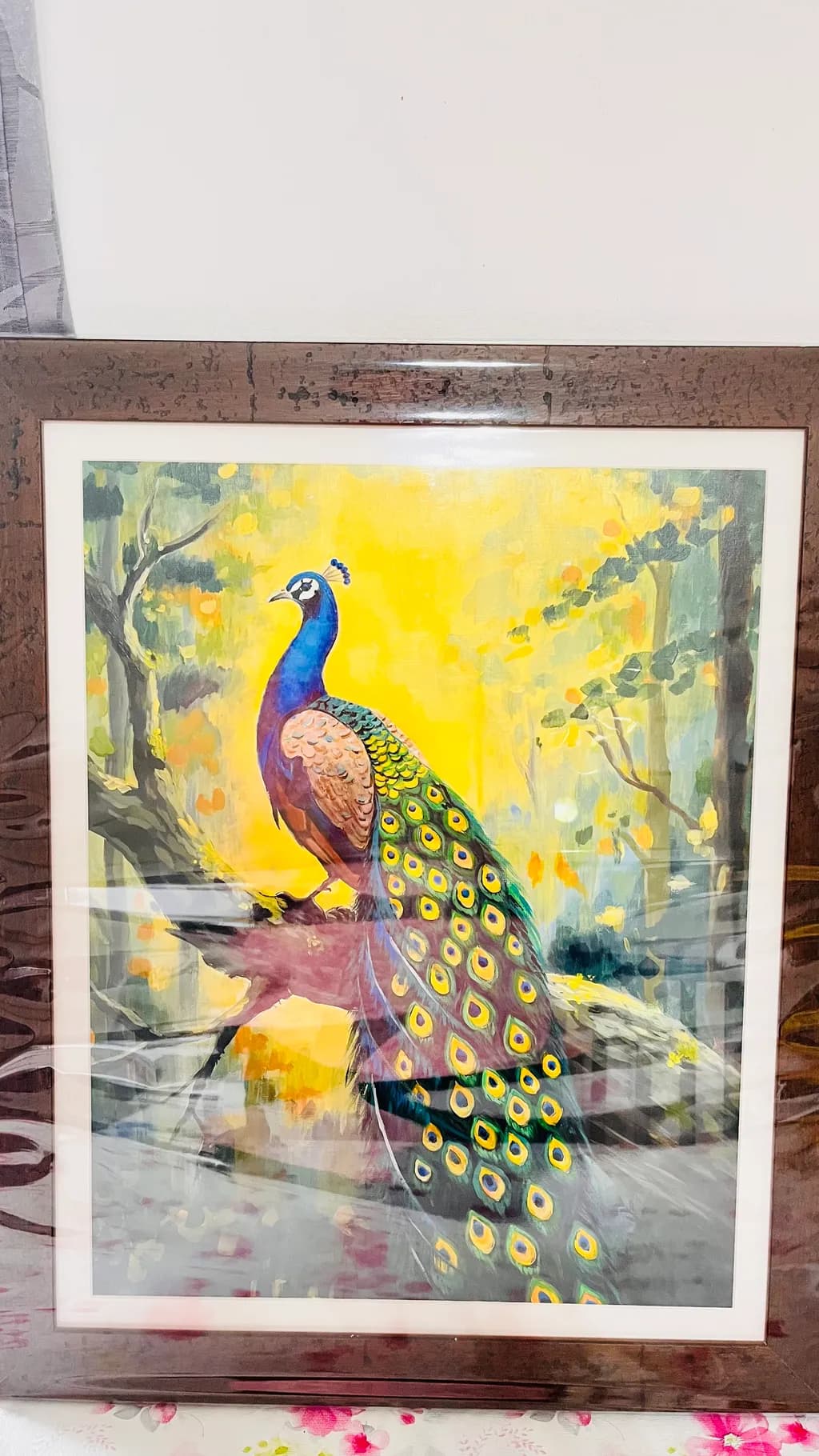 Radiant Plumage