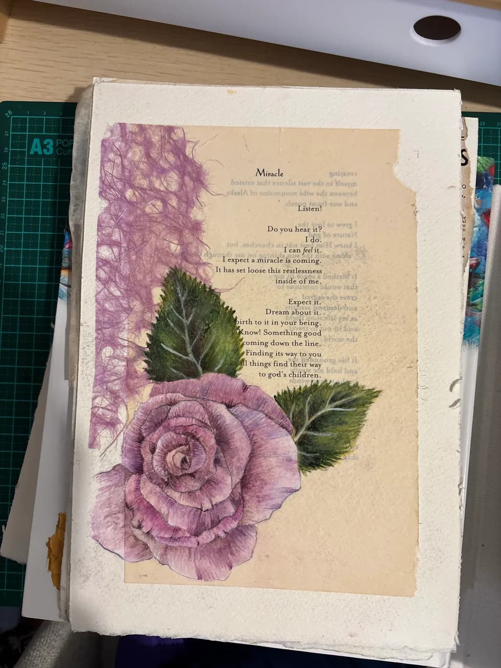 Miracle Rose