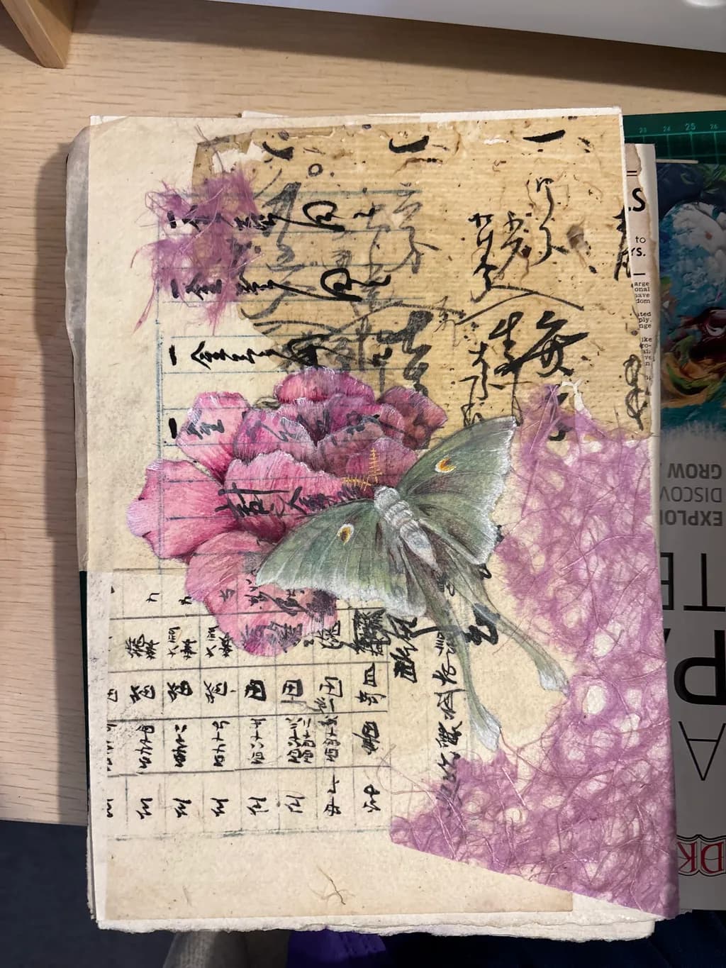 Moth and Manuscript