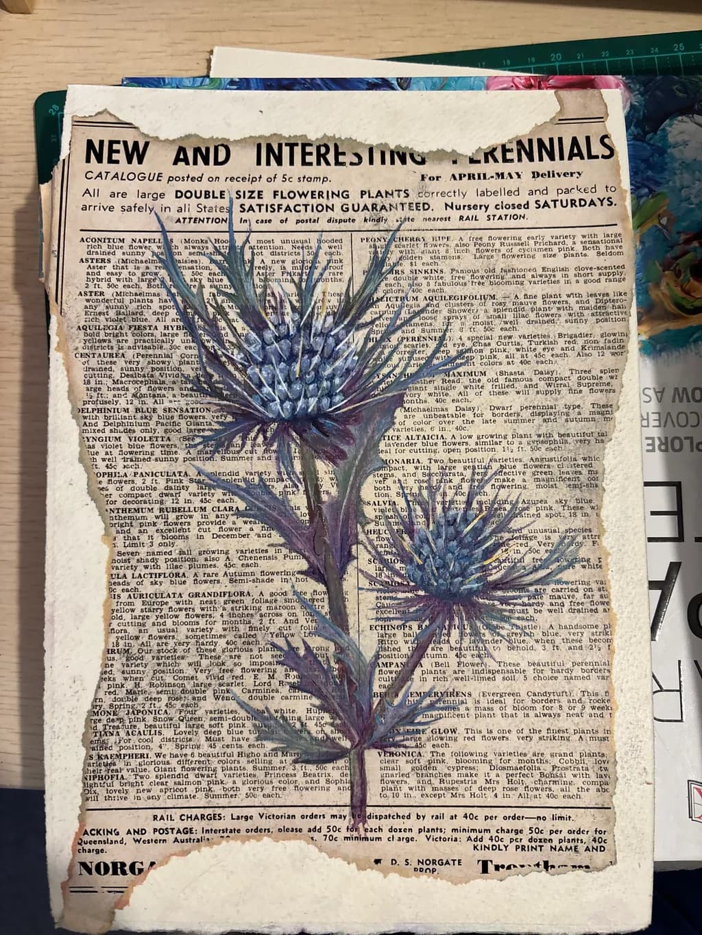Thistle on Print