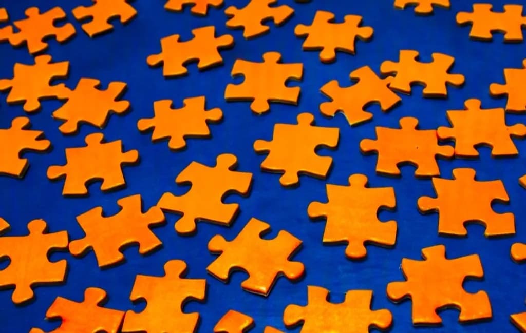Jigsaw Puzzle Pieces