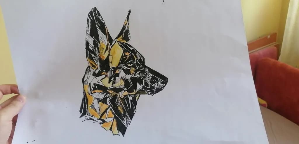 Kutyi Dog Sketch