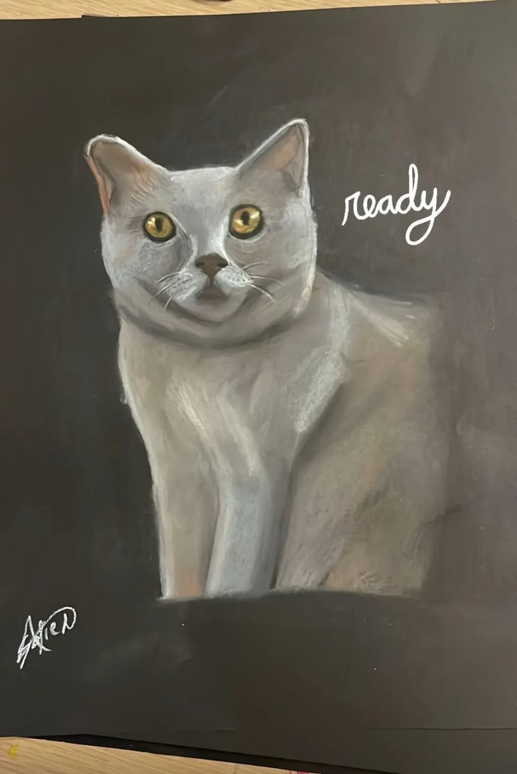 Ready Cat