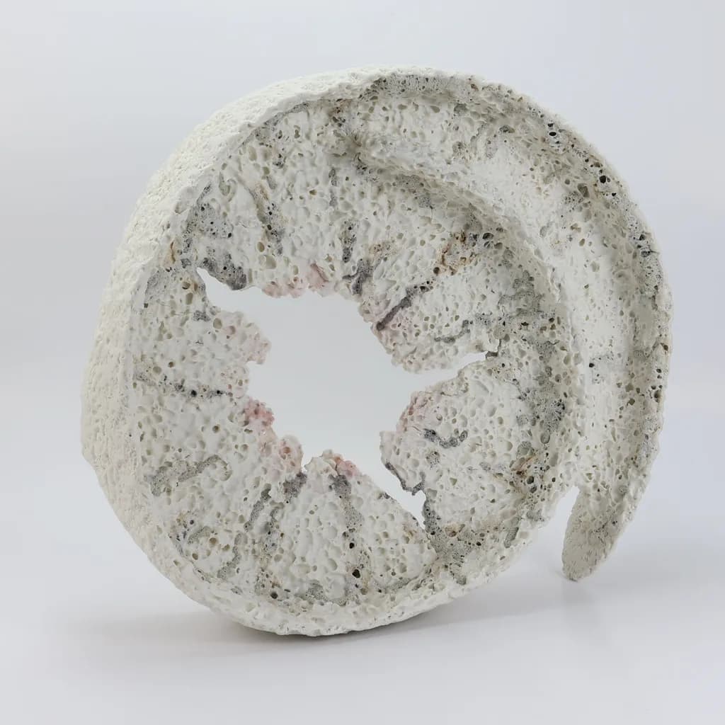 Porous Spiral Fragment