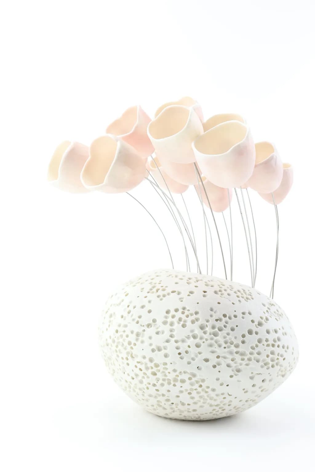 Porous Bloom