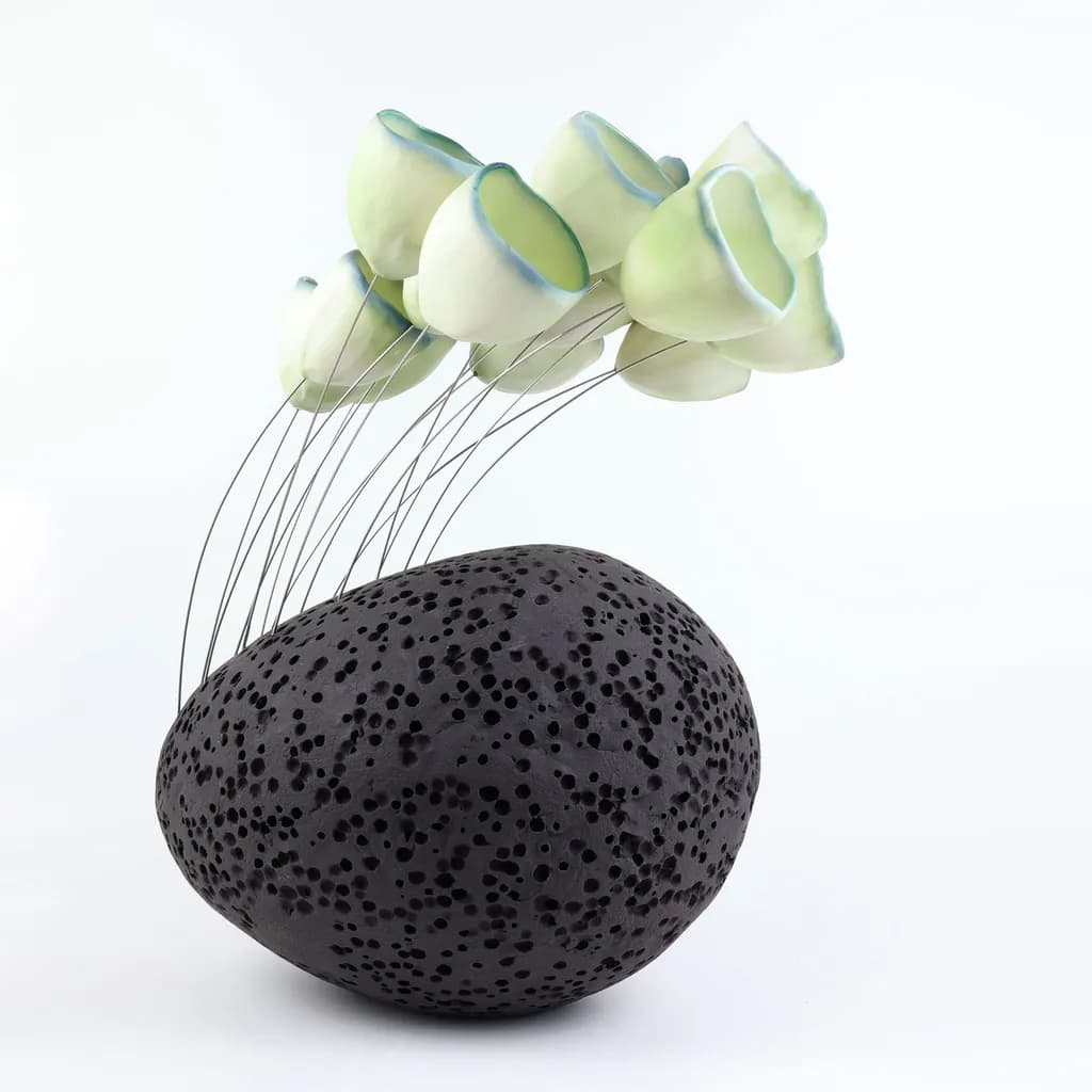 Porous Bloom