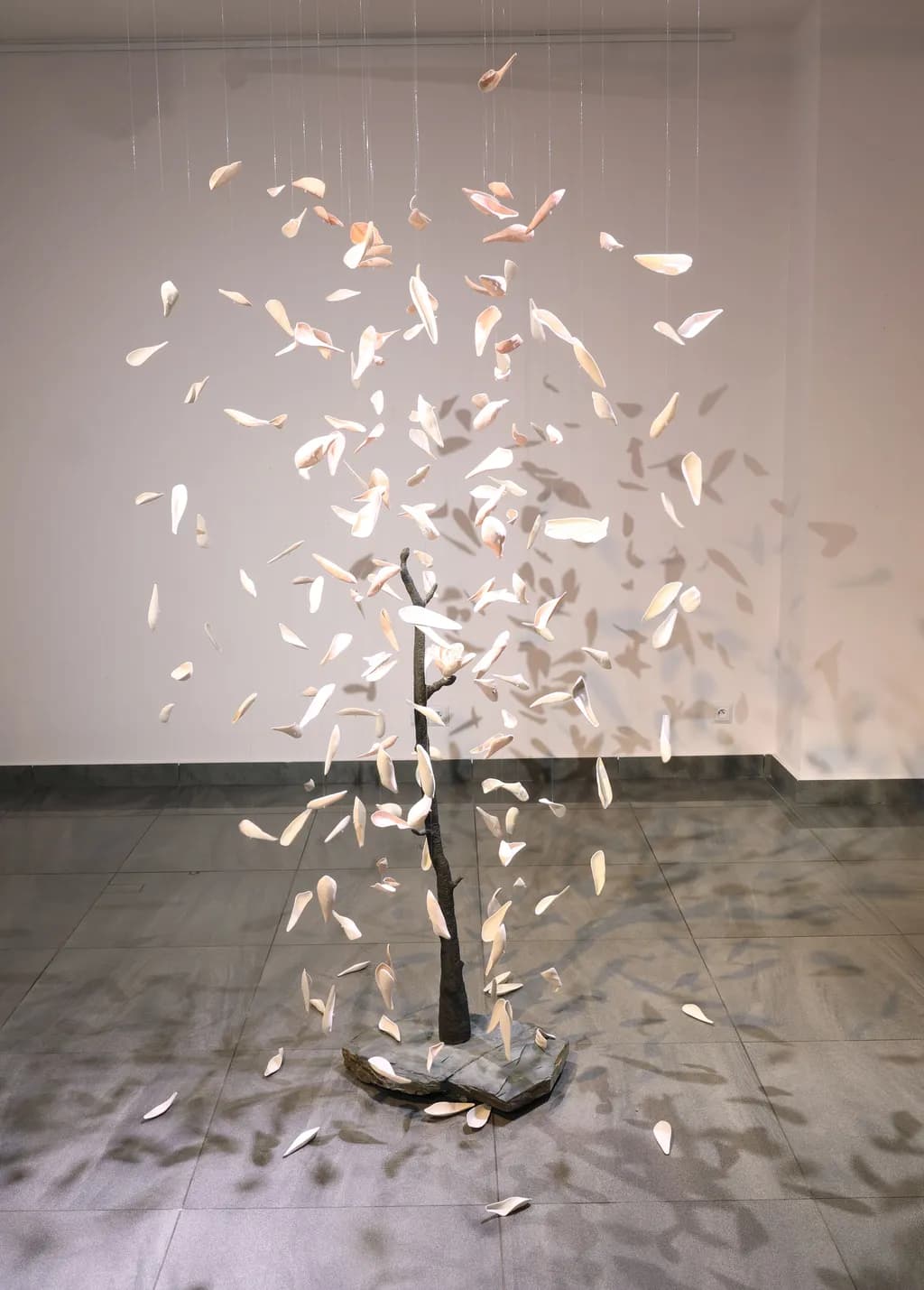 Suspended Bloom