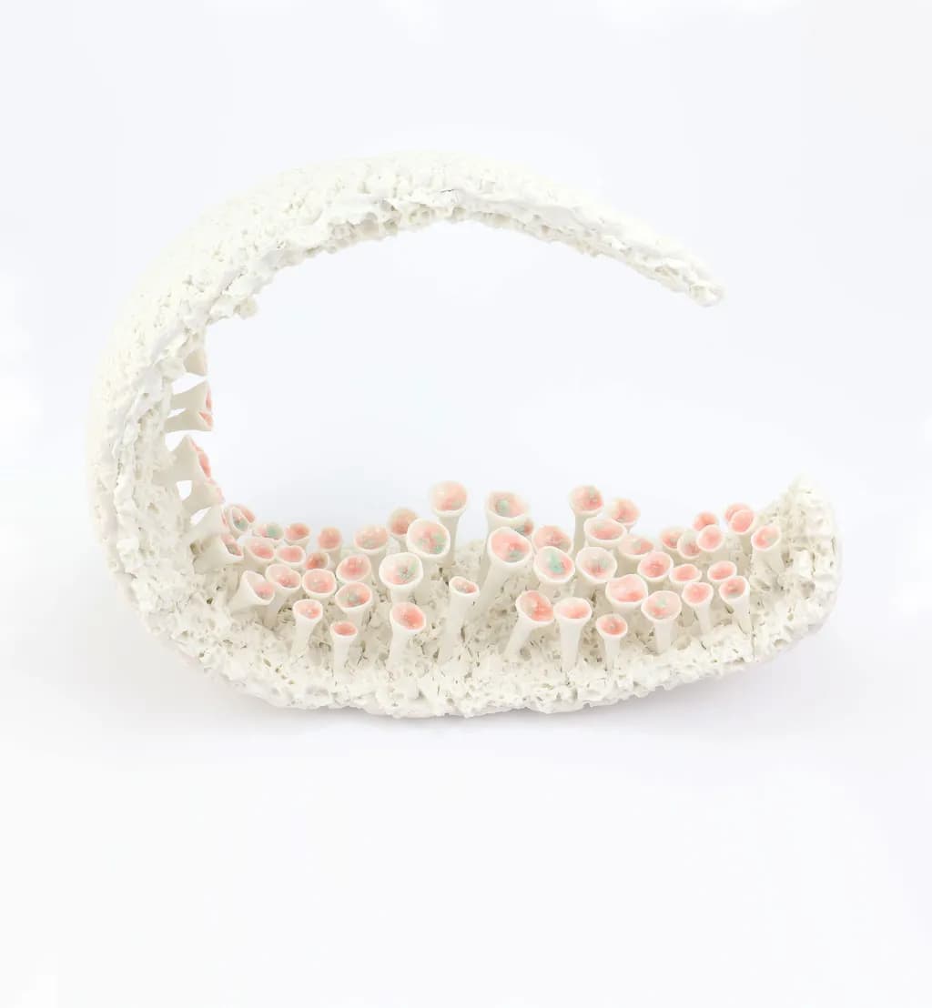 Coral Crescent