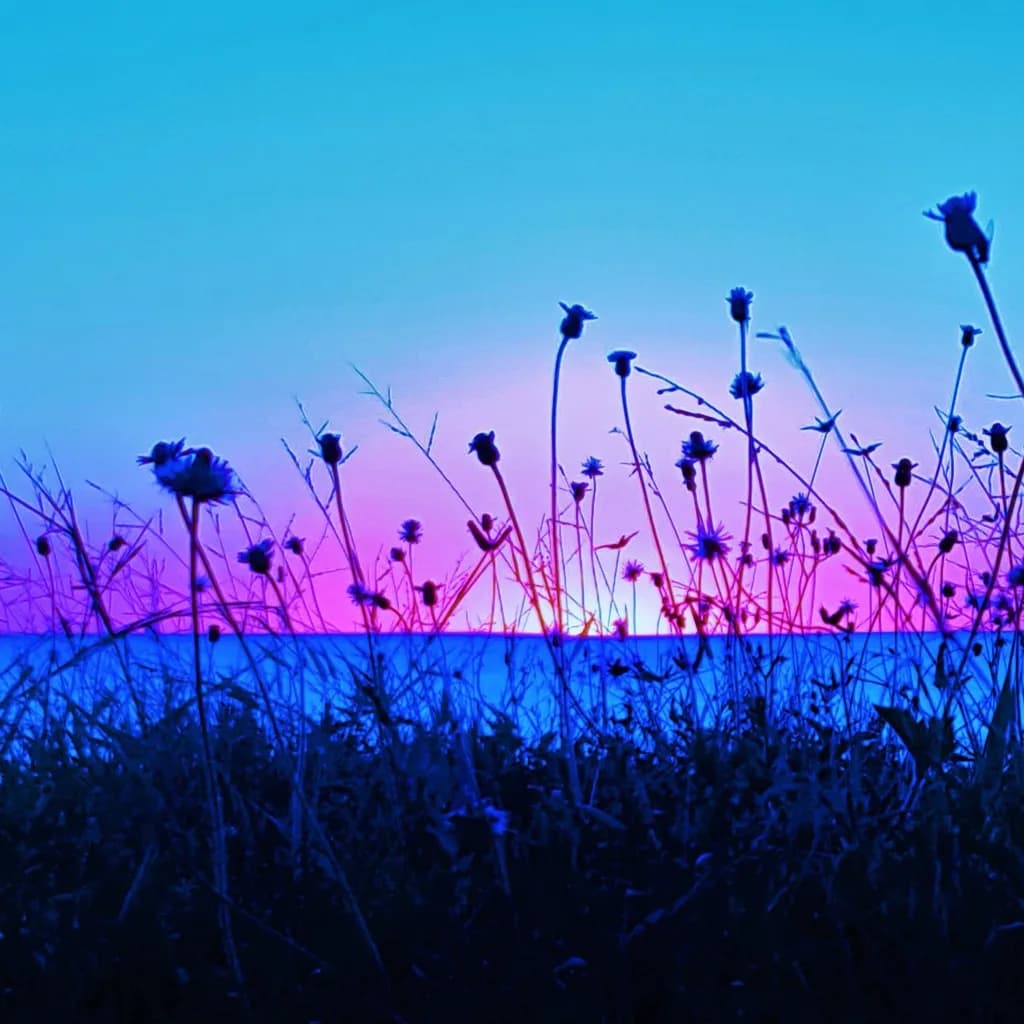 Twilight Blossoms