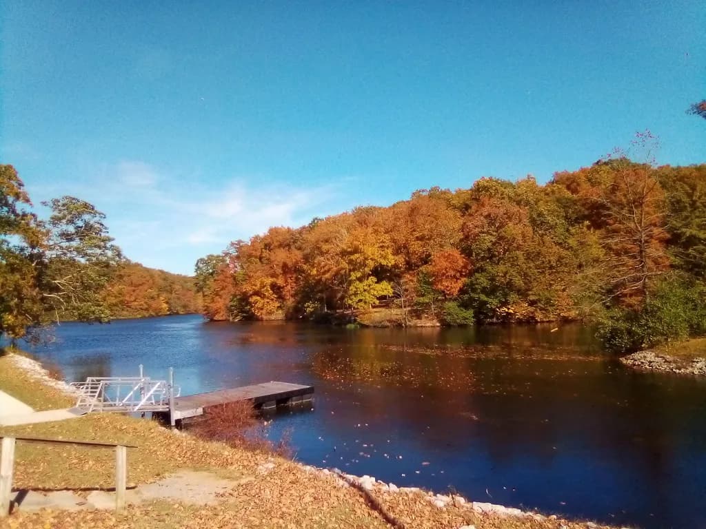 Autumn Reflections