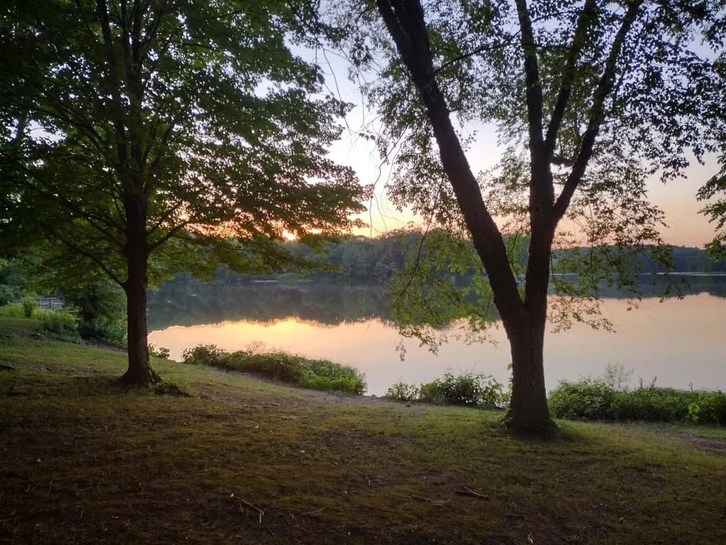 Evening Reflections