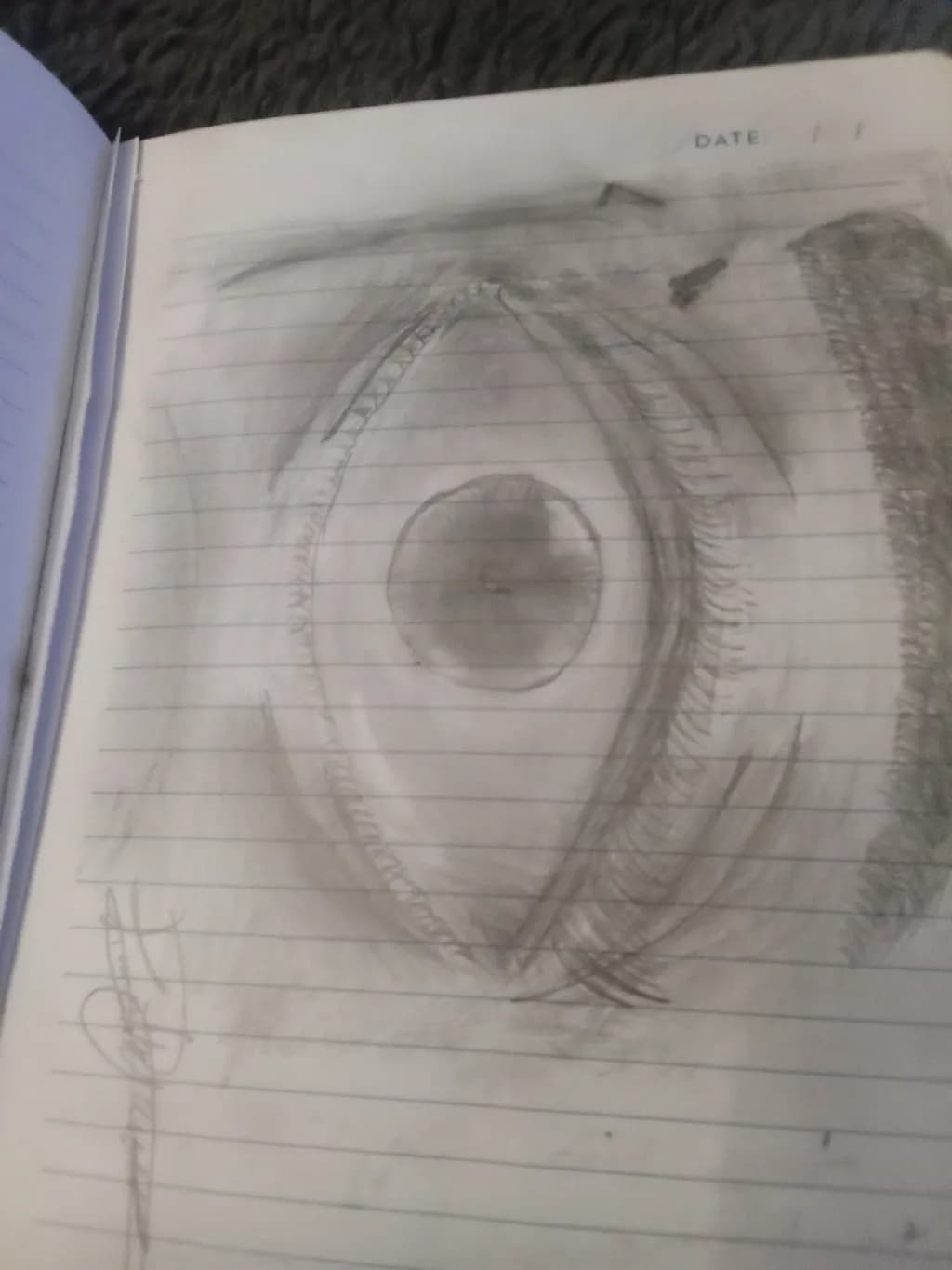 Gaze Study