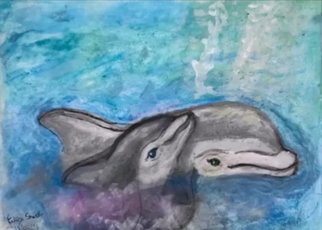 Dolphin Companions