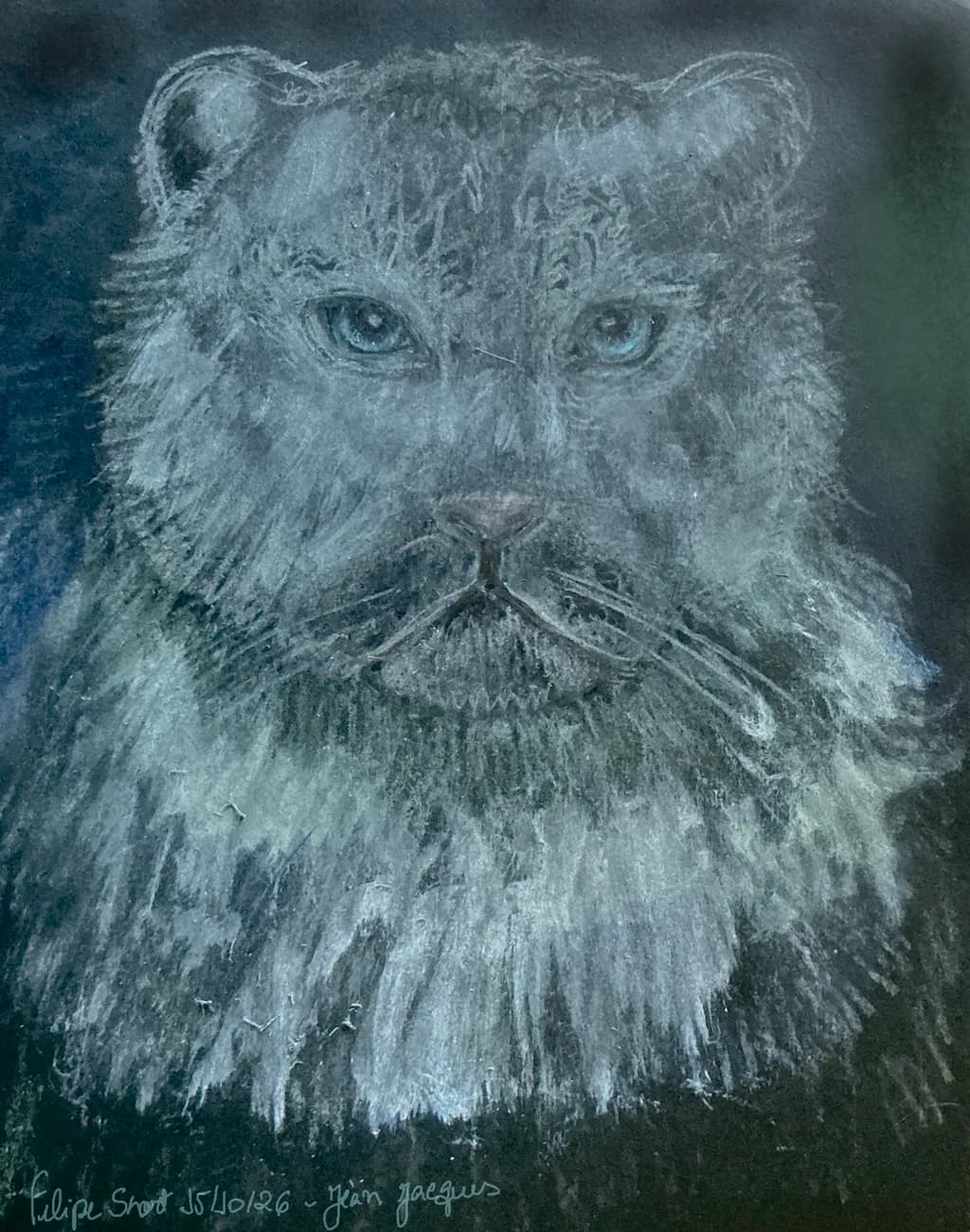 Silver Cat Portrait