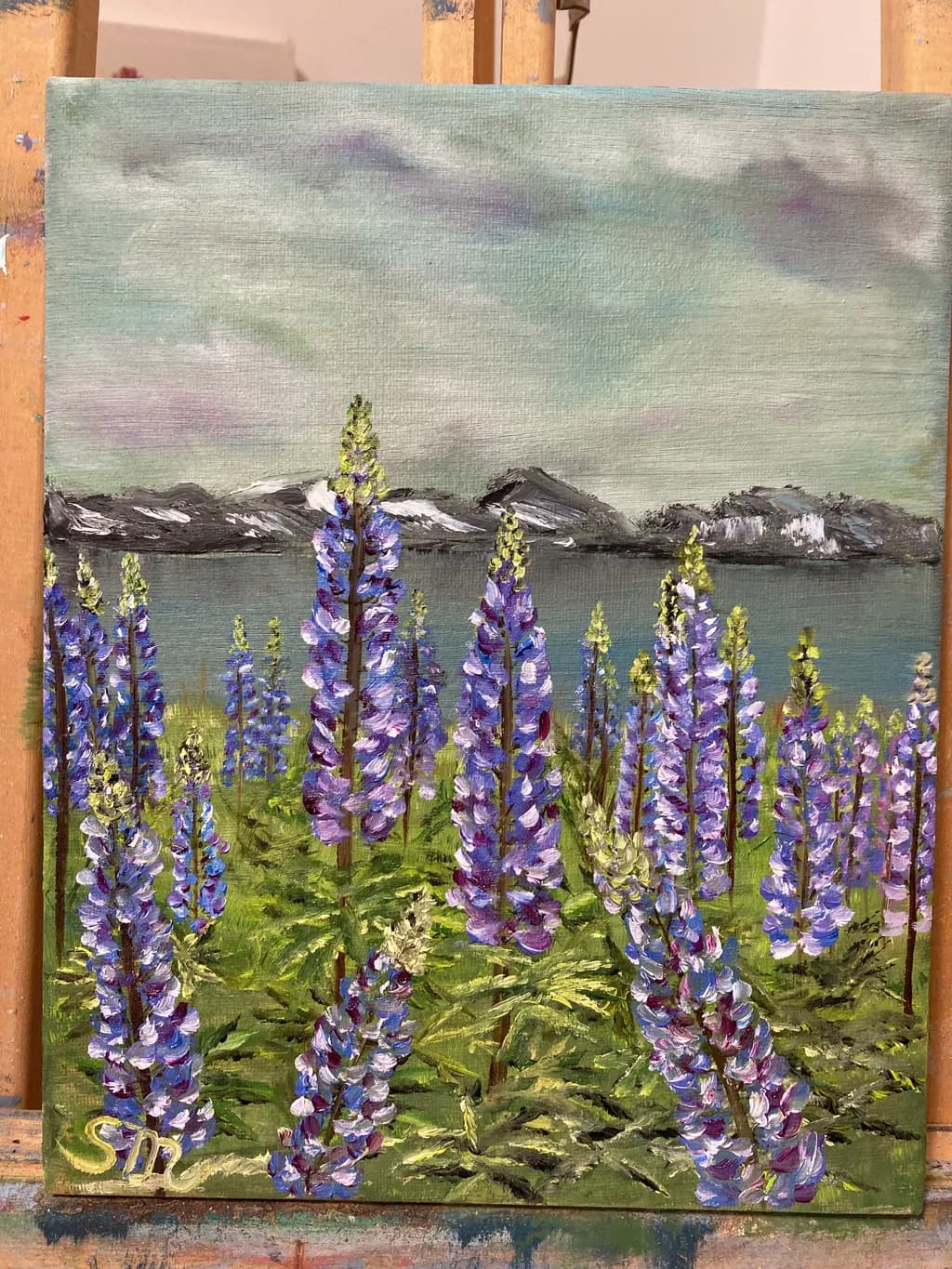 Lupine Meadow