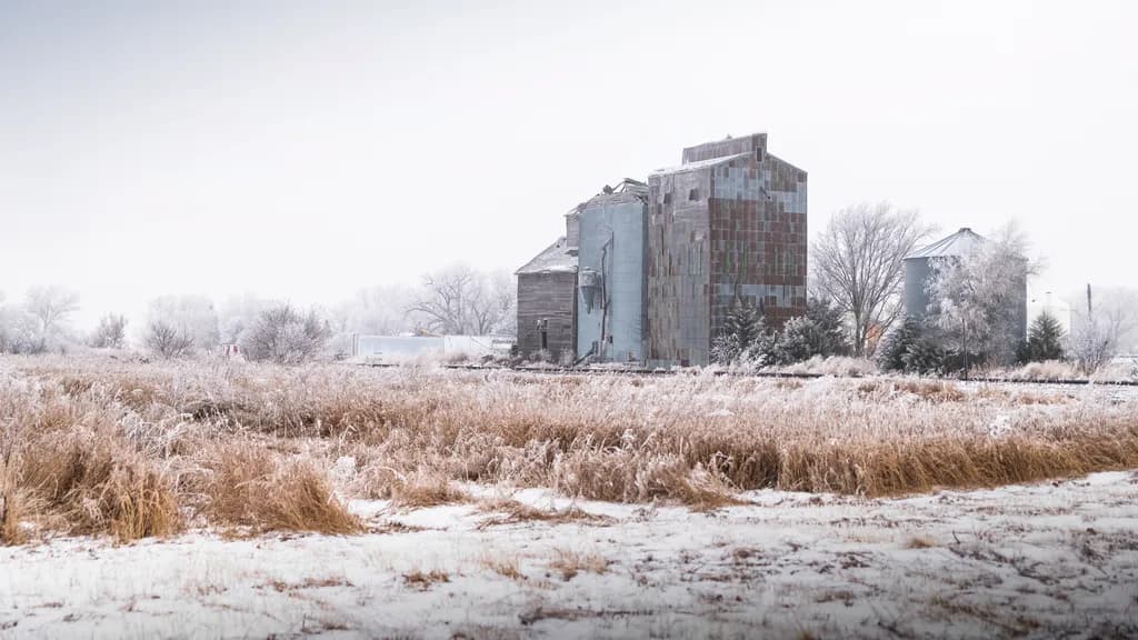 Prairie Sentinel