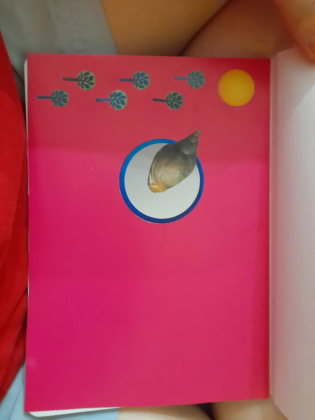 Shell Orbit
