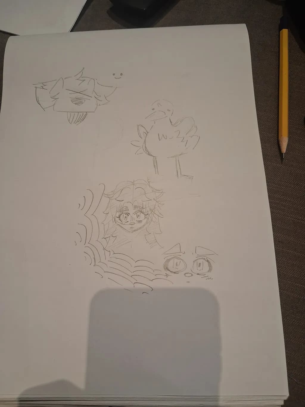 Sketches in Motion
