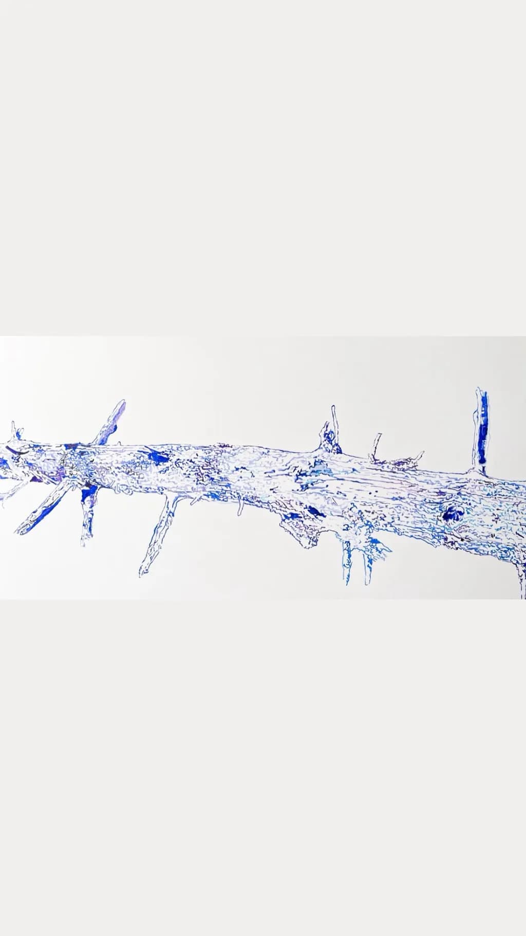 Winter Branch