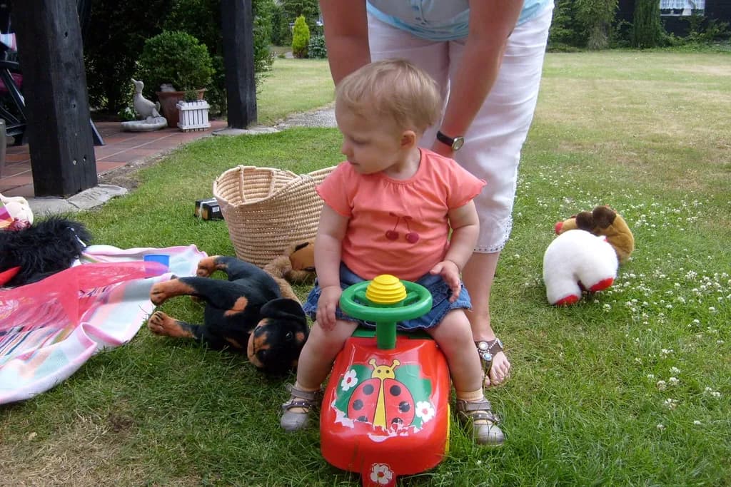 Playtime Garden Ride