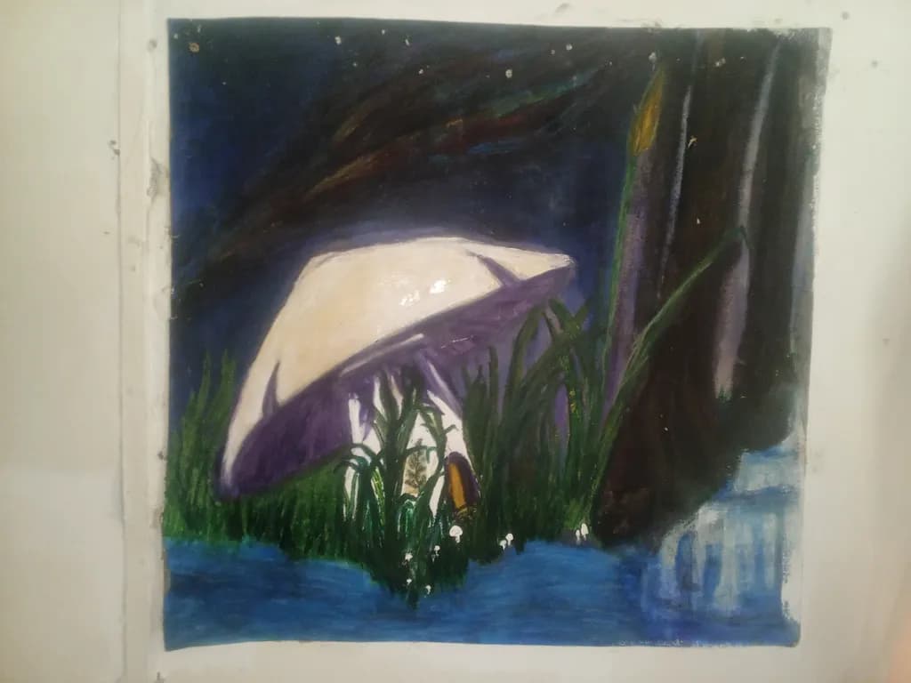 Nocturnal Cap